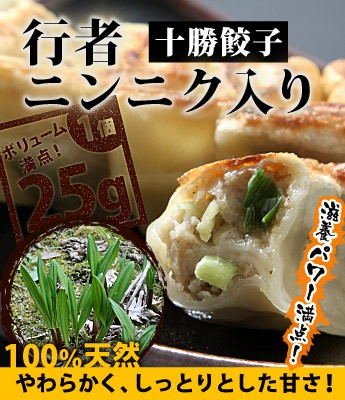 十勝餃子 行者ニンニク入り 25g×20個